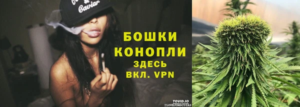 Альфа ПВП Нягань