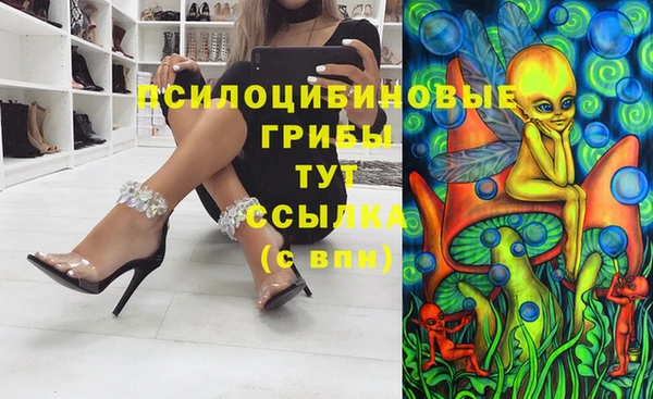 Альфа ПВП Нягань